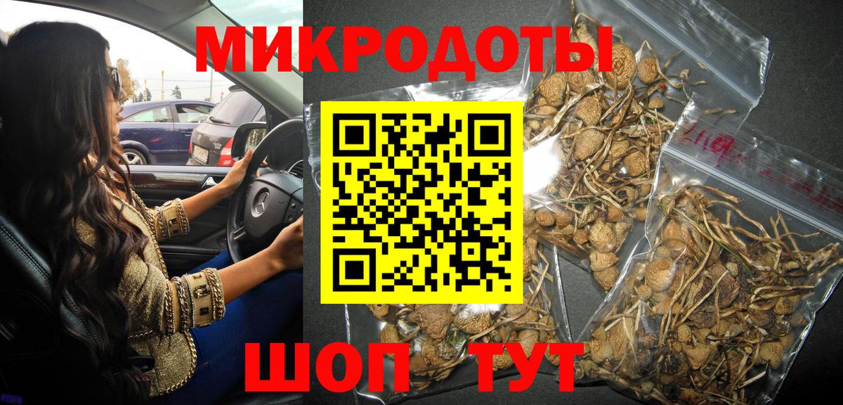 Чернушка  Псилоцибиновые грибы Cubensis  Вход с VPN 